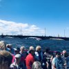 St. Petersburg 1